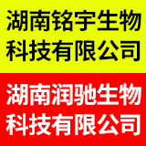 广告位招租