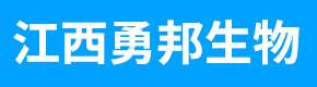 广告位招租