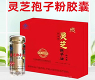 广告位招租